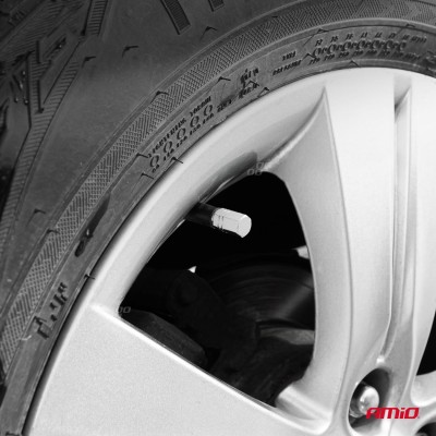 Tapones de aluminio para válvula color plateado 4 unid.