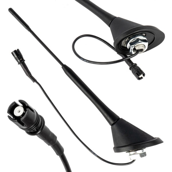 Antena de coche RAKU-2 ANT10 AMIO-04154