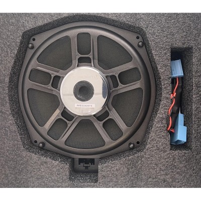 Subwoofer 8" DRAGTERS ACADEMY especial para BMW y MINI AW-8BMW"