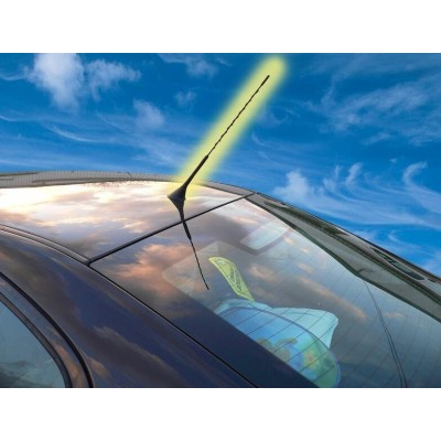 Antena de techo tipo golf CarCommerce
